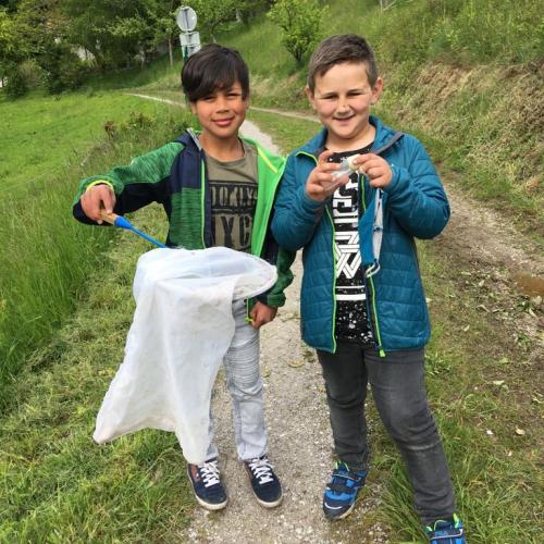 2A Insekten fangen 2