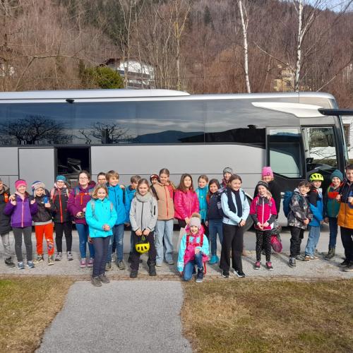 Bus